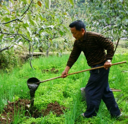Sichuan Rural Poor-Household Biogas Development Programme