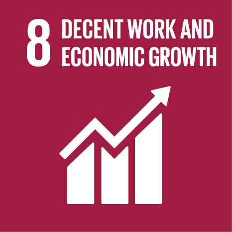 Nachhaltiges Wirtschaftswachstum und menschenwürdige Arbeit für alle